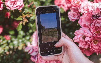 Wat zijn de social media formaten in 2022?